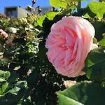 Vald'aregos - Douro 3*