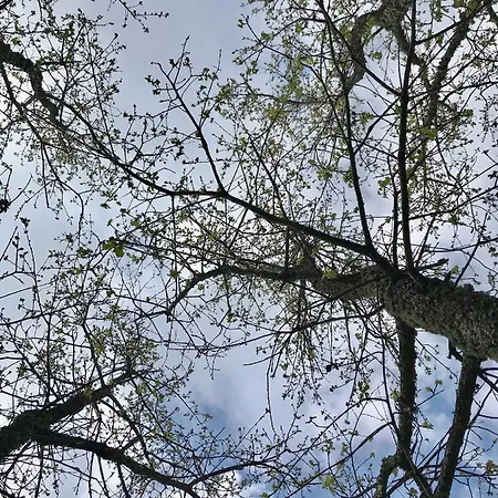 Vald'aregos - Douro 레센데