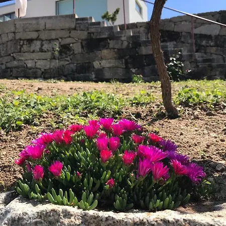 Vald'aregos - Douro רסנדה