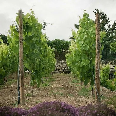 Ferienpark Vald'aregos - Douro Resende