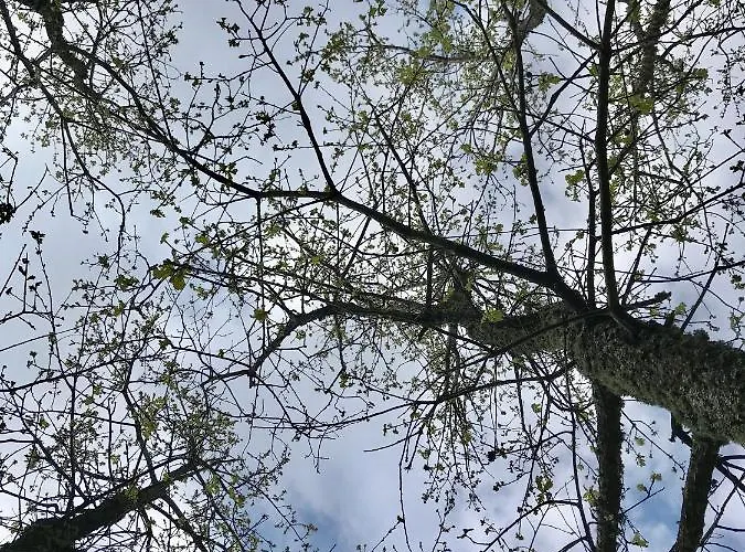 Vald'aregos - Douro Resende