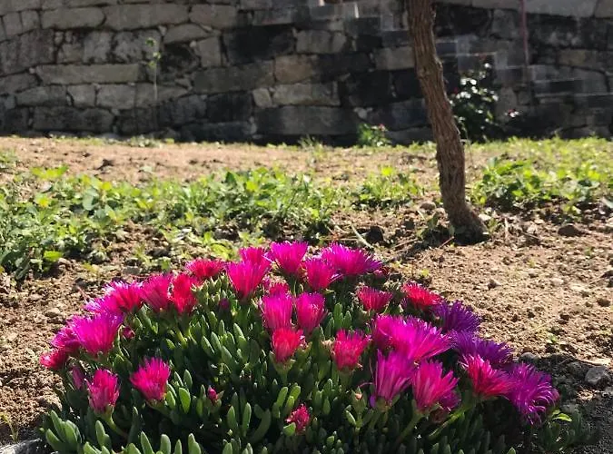 Vald'aregos - Douro רסנדה