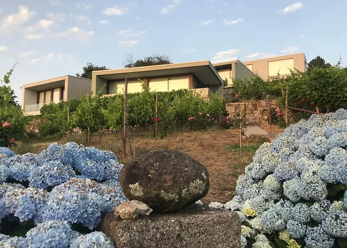 Vald'aregos - Douro 3* Resende