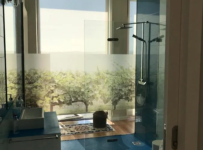 Vald'aregos - Douro Ferienpark Resende