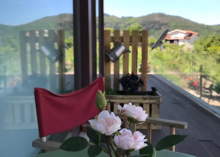 Vald'aregos - Douro 3* Resende