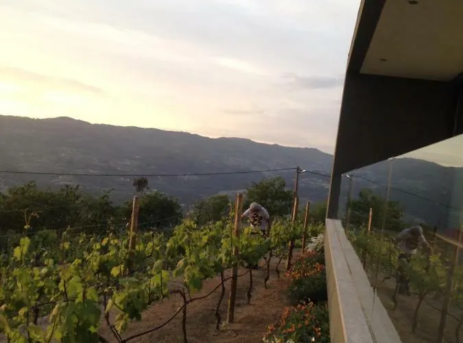 Vald'aregos - Douro Ferienpark Resende