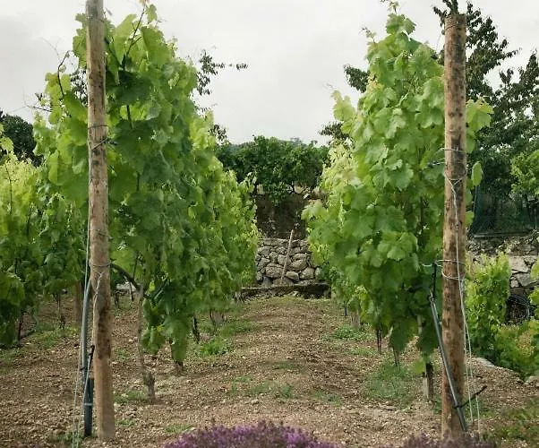 Ferienpark Vald'aregos - Douro Resende