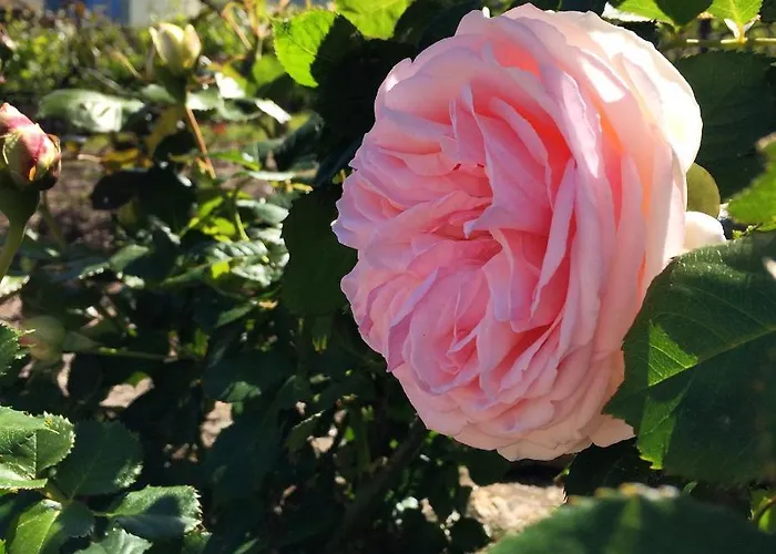 Vald'aregos - Douro 3*